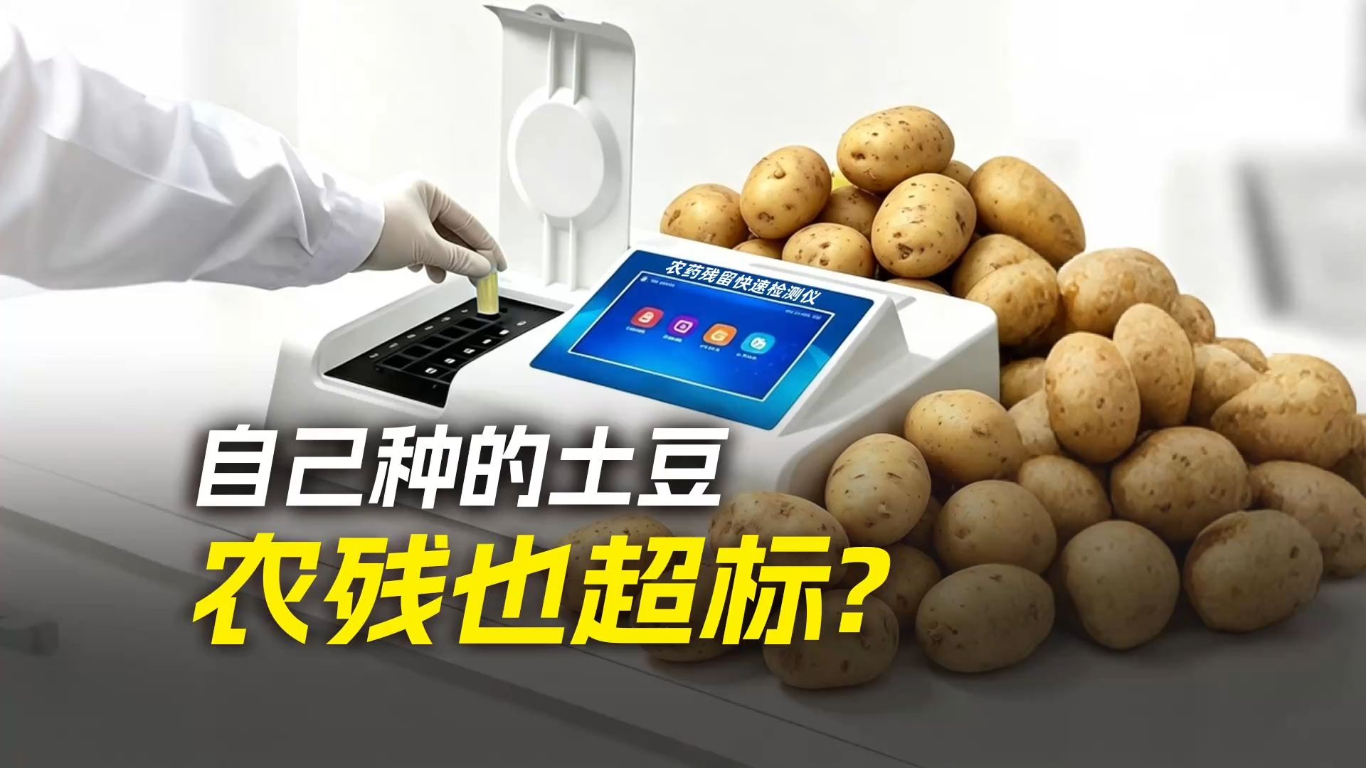 自己种的土豆，农残也会超标？