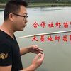 合作社虾苗9块钱，大基地11块钱，养殖户会怎么选呢？听完笑了