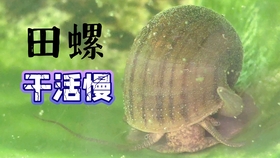 a0c7ce78fa8eb5515437e8874447d916731ddd4f.jpg@280w_158h_1c_100q.jpg
