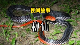 a0e6243af6fd9332e6ddf3f083ea6f493de142ce.jpg@280w_158h_1c_100q.jpg