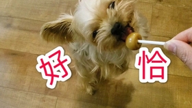 a0f7fecde97cb7f3725fbcc86f146b69ae0c8fc8.jpg@280w_158h_1c_100q.jpg