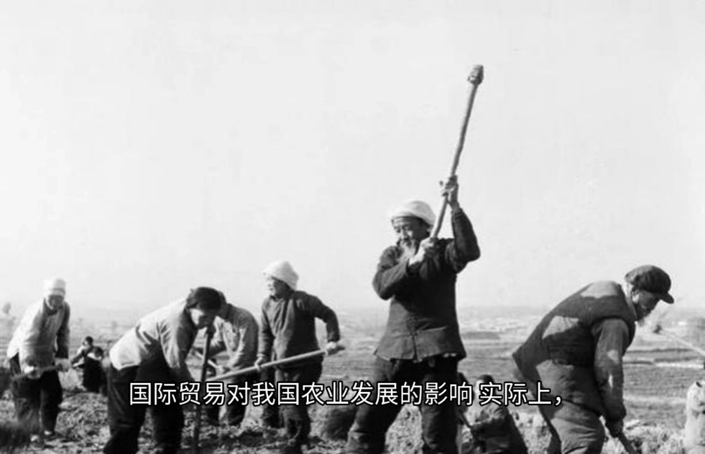 包产到户让人吃饱饭了吗