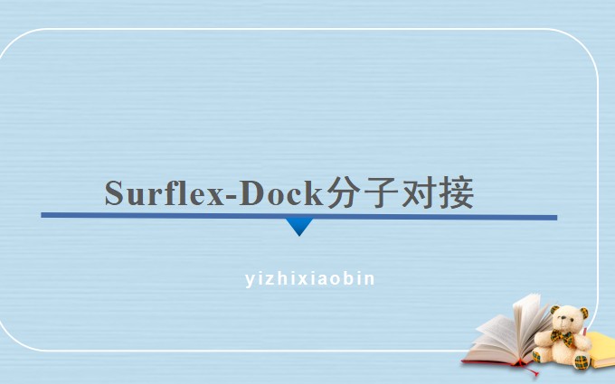 surflex-dock