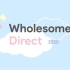 独立游戏发布会『Wholesome Direct 2020』全程视频