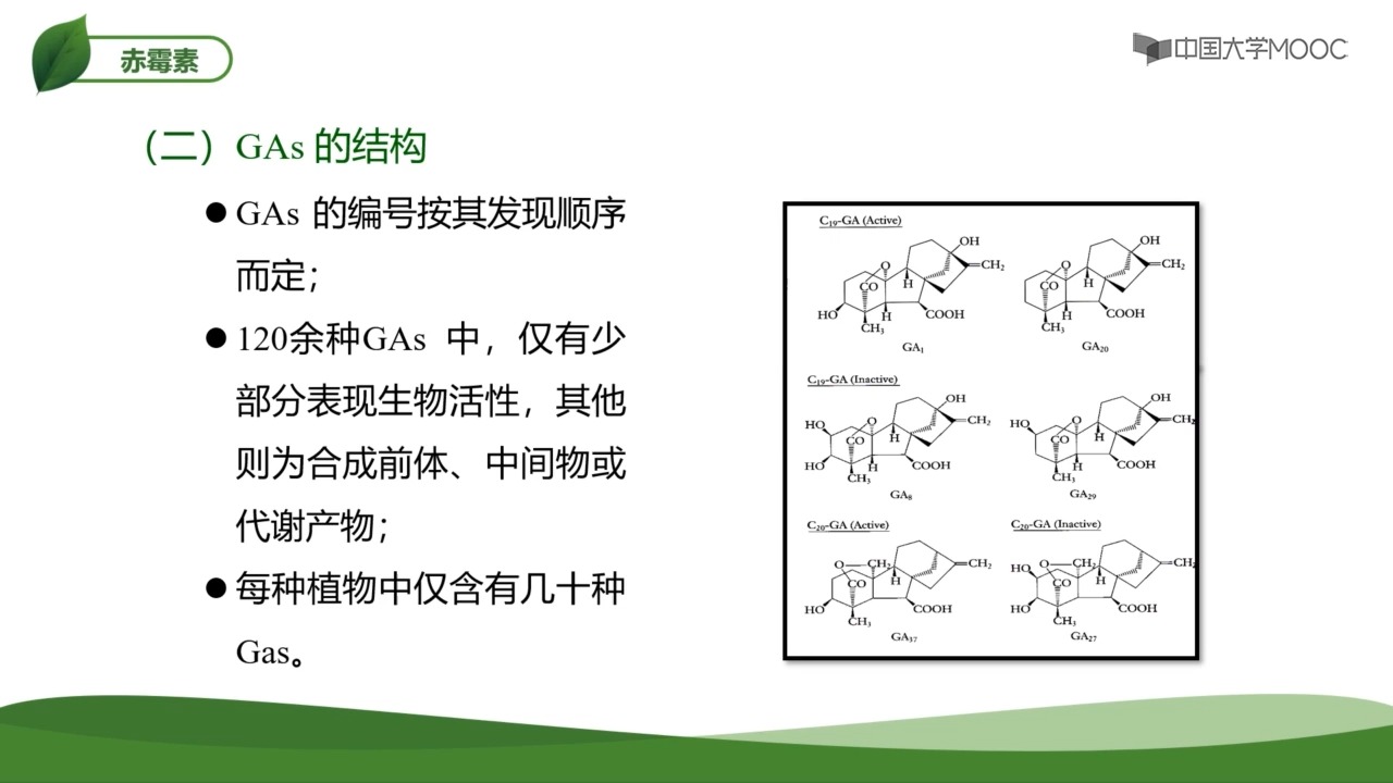 [8.3.1]--8.2赤霉素