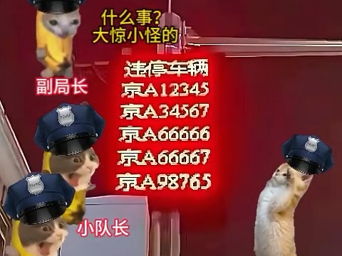 当你向上级汇报结果
