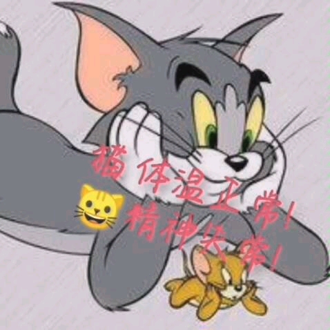 现实生活中的猫捉老鼠 哔哩哔哩 つロ干杯 Bilibili