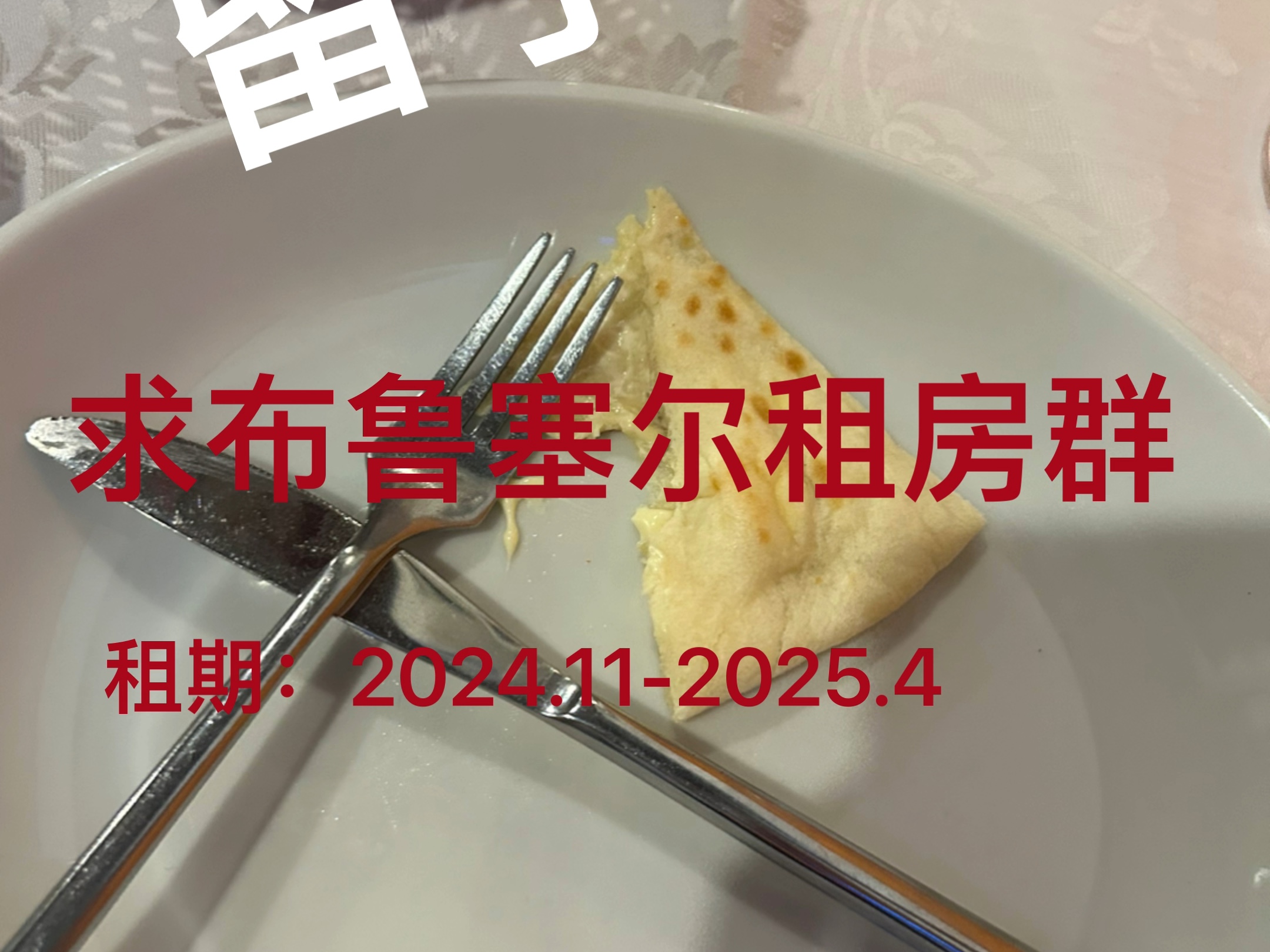 求下学期布鲁塞尔租房群
