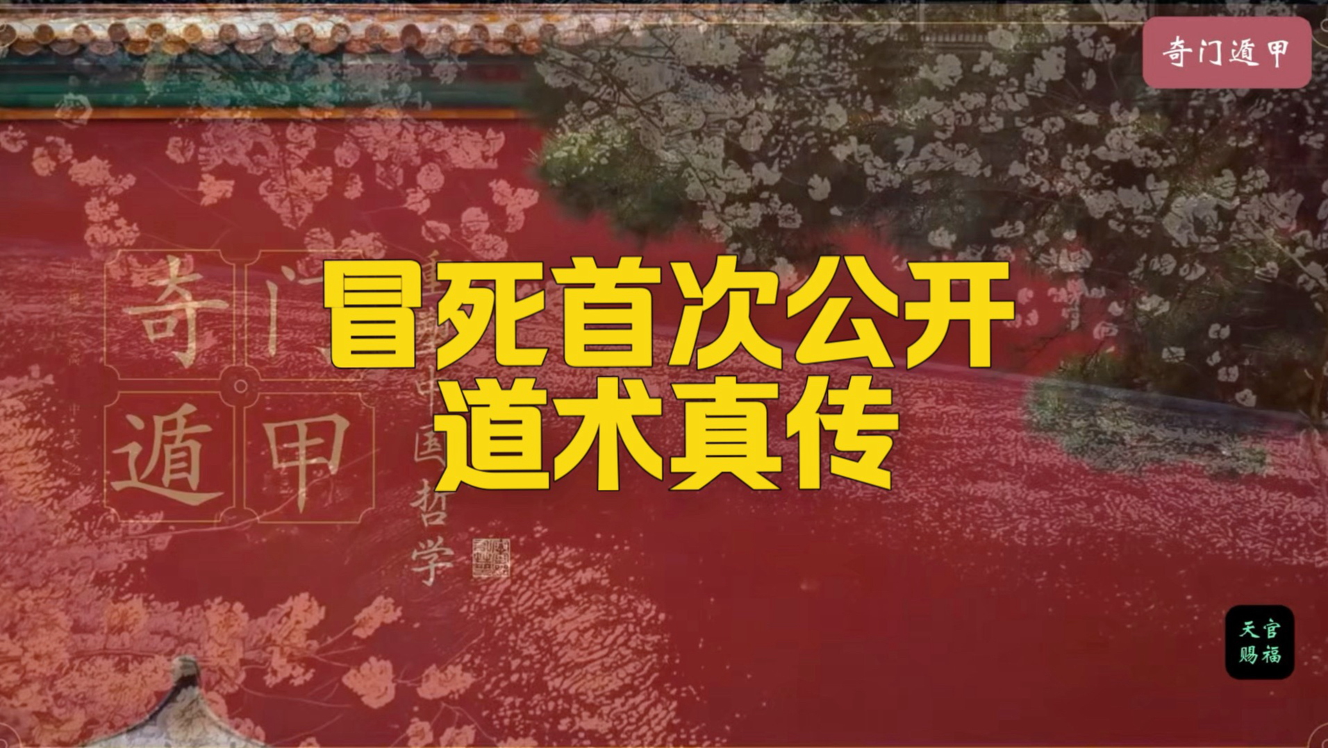 首次公开 道家真传（最强护盾）