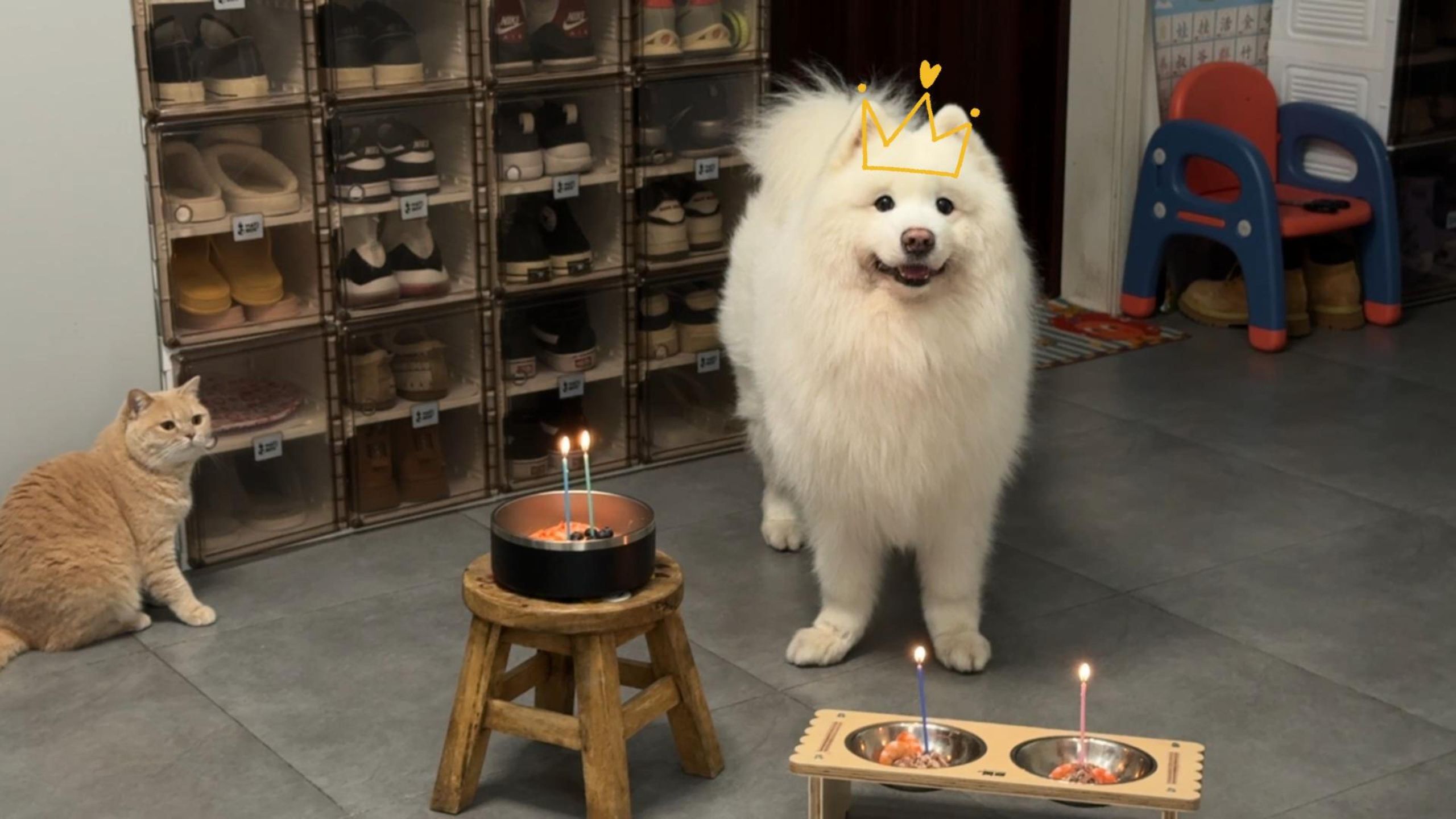 11岁啦！