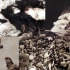 南京大屠杀真实录像，由国外传教士秘密拍摄，曾用于审判日本战犯