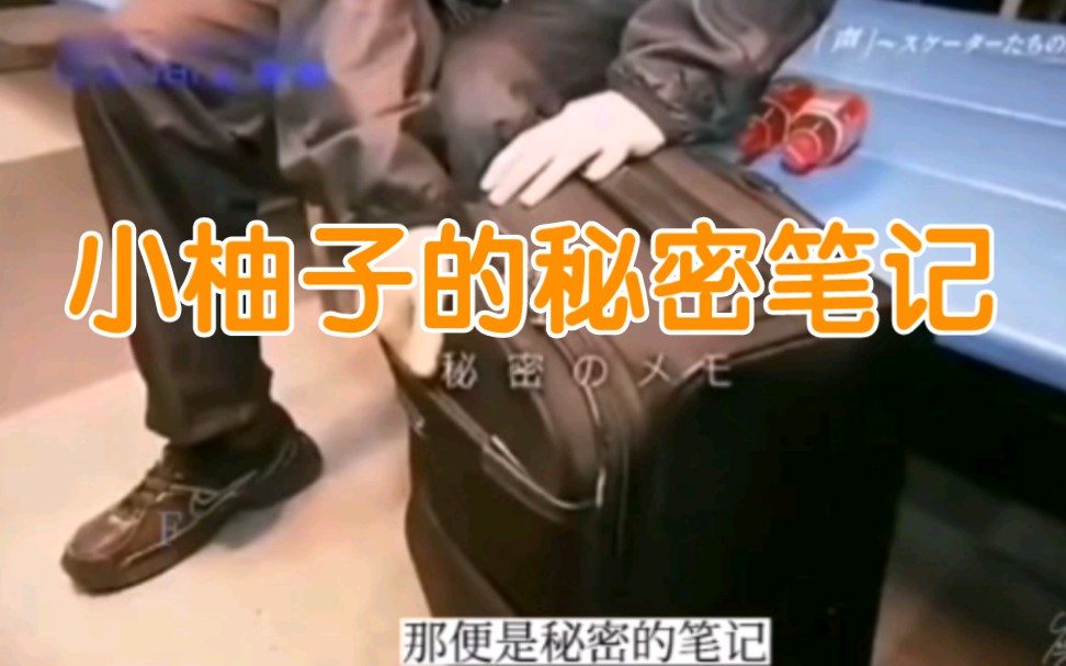 小柚子的秘密笔记