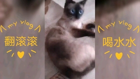 a1b641ef6110ad3cb990904e7afb36baae7ceb70.jpg@280w_158h_1c_100q.jpg