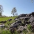 空镜头视频 草地石头蓝天树木 素材分享
