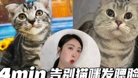 a1bfc2c59f056ab55fdd68a82450470a95ac231c.jpg@280w_158h_1c_100q.jpg