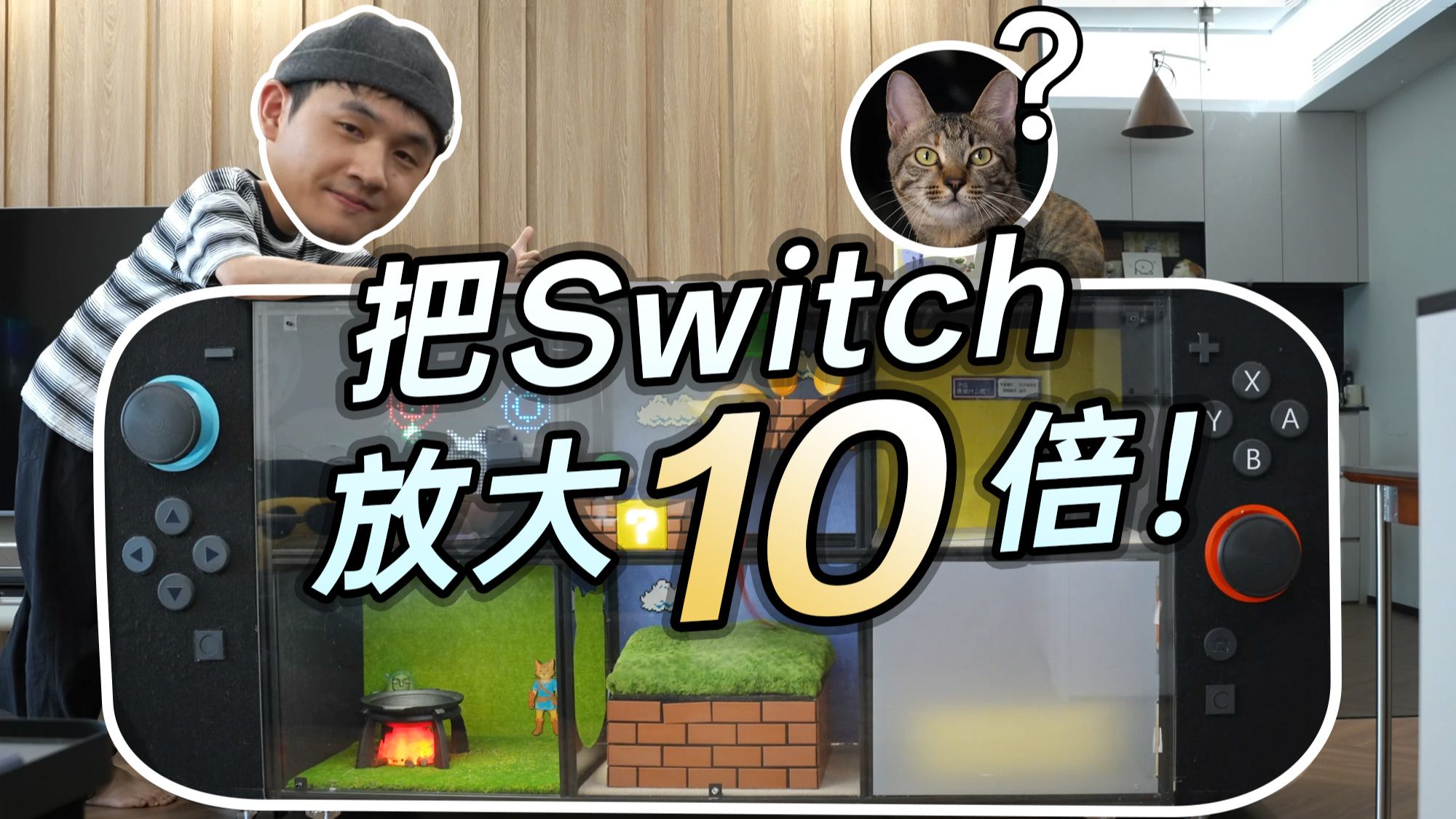 我把Switch放大十倍，做成了智能猫窝