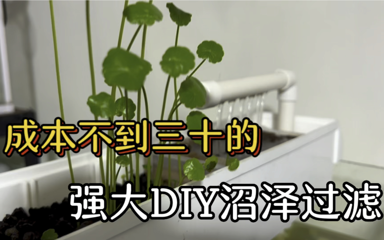 自己动手用工具盒，DIY制作沼泽过滤