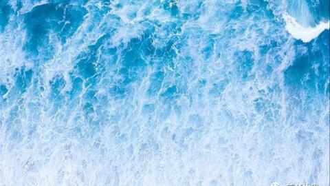 a1d273d5b623d71efe48e0b5addeeaadbbd32e00.jpg@480w_270h_1c