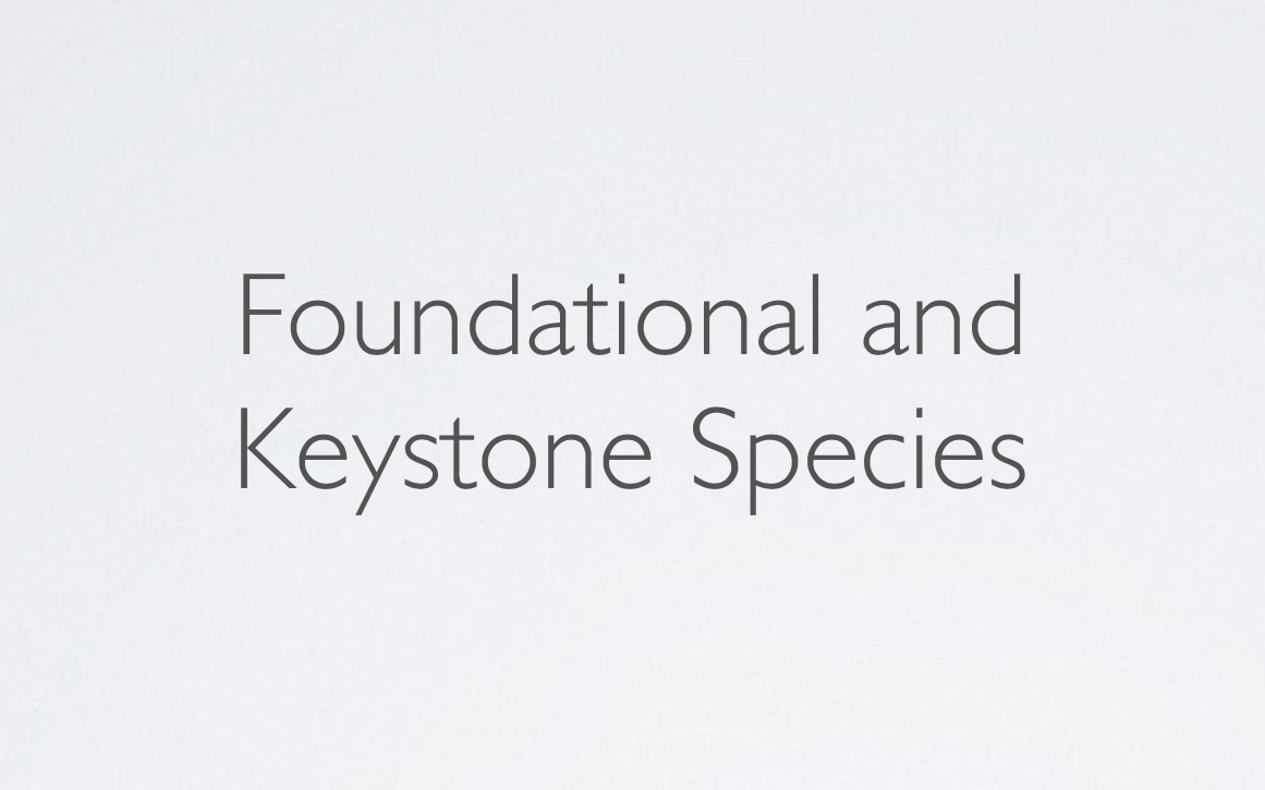 Foundational and Keystone Species托福阅读真题讲解_哔哩哔哩_bilibili