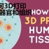 【医学】如何3D打印人体器官和组织