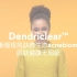 Dendriclear™