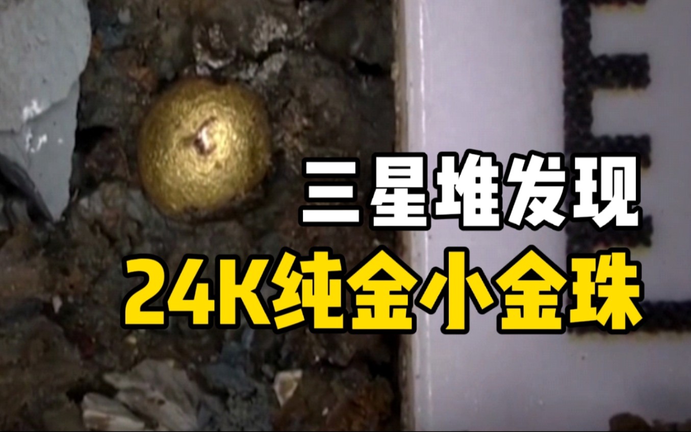 三星堆发现24K纯金小金珠 最小零点几毫米 含金量99%
