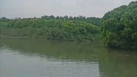 听歌看风景的方式是什么 a21afd6c74e3b5d9c172a2036d9dbad4a59a2677.jpg@280w_158h_1c_100q.jpg