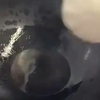 网友炸糯米饼 眼睁睁看着一锅油没了