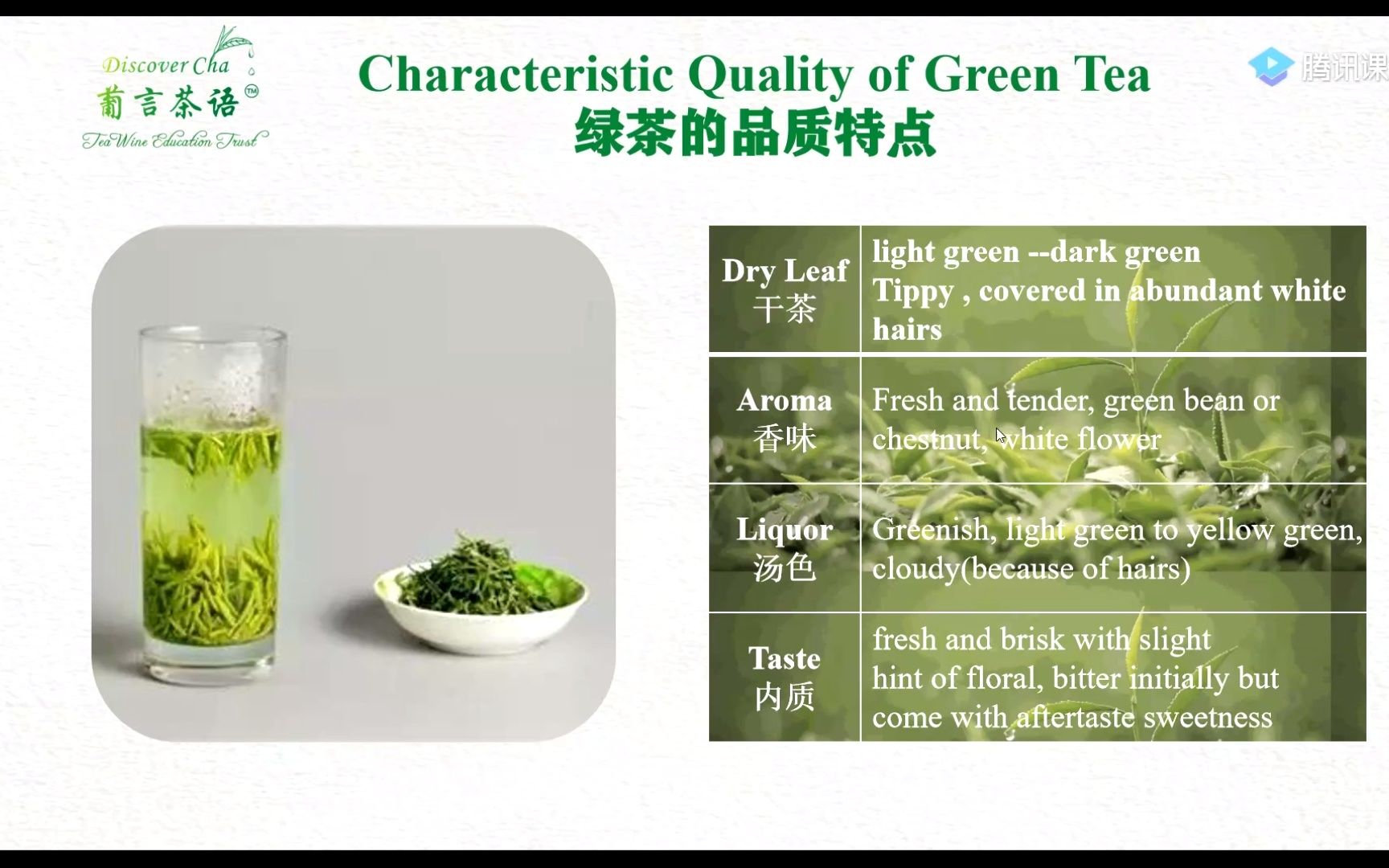 零基础茶艺英语 第三课 绿茶篇 Green Tea