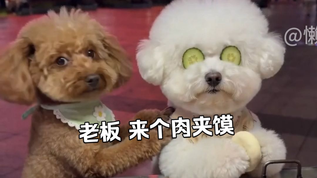 老板，来个肉夹馍，肉多一点！
