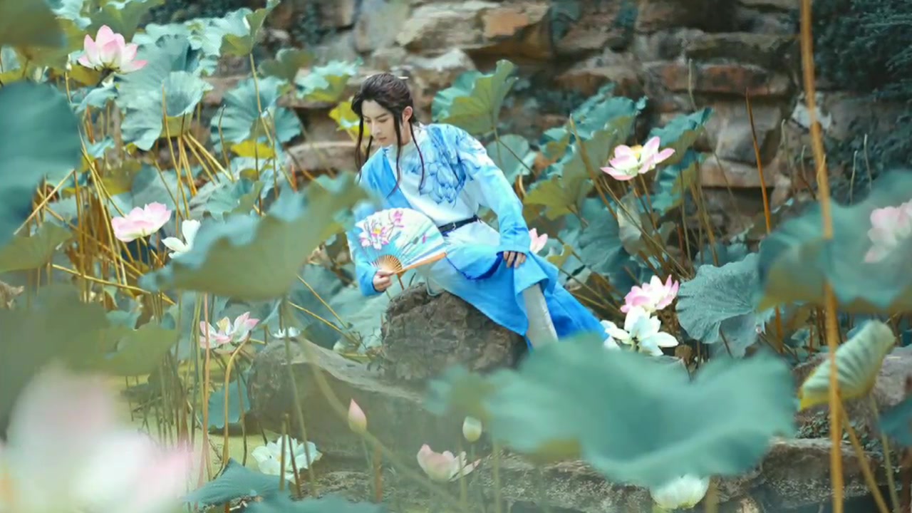 标签详情_bilibili_哔哩哔哩弹幕视频网