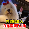 狗狗和主人在车里听DJ曲，节奏感超强 发型都摇起飞了，狗子：要不是被手掐着脑袋 我都想下车跳