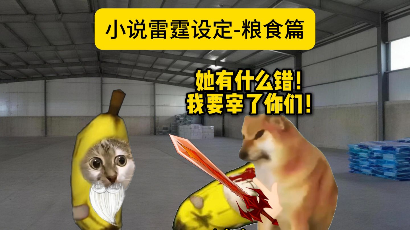 小说雷霆设定粮食篇