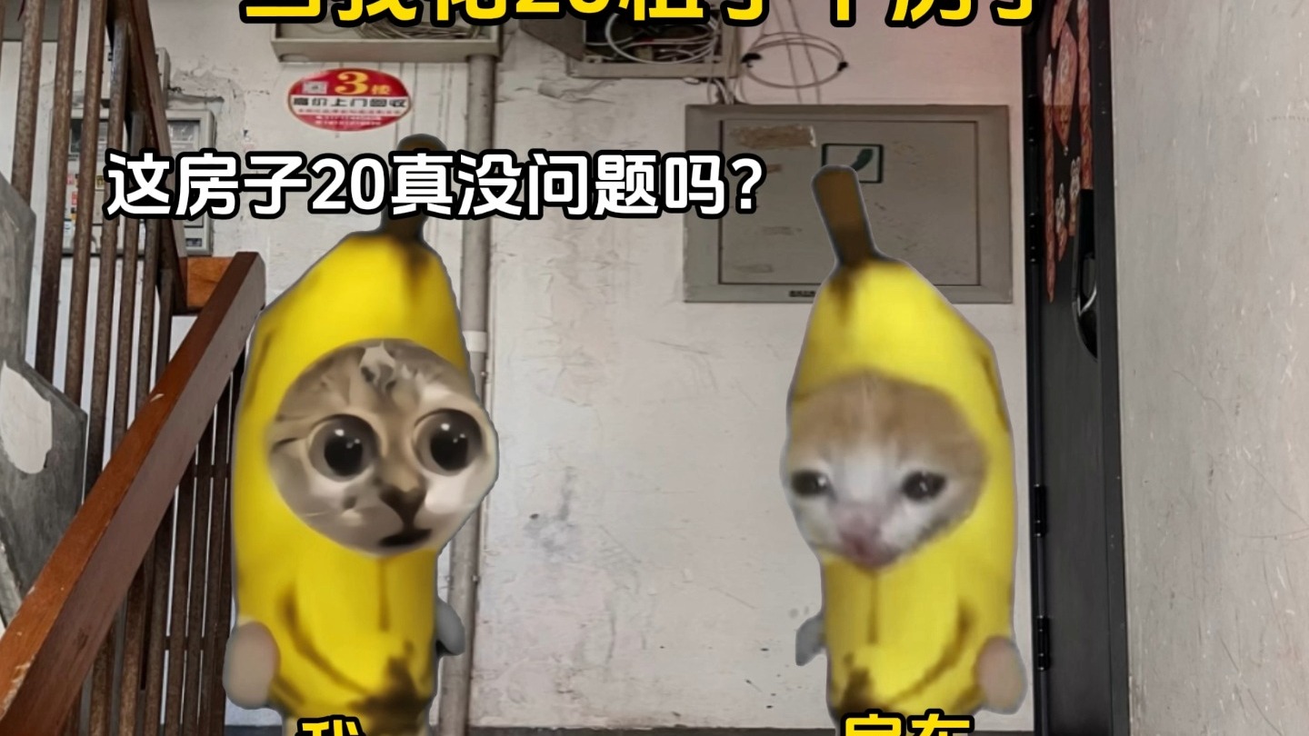 当我花20租了个房子