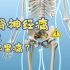 【疾病的奥秘】：3D还原--坐骨神经痛
