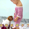 小女孩尿裤子，小猴子就像一个保姆一样，照顾妹妹