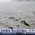渤海黄海海冰面积超过一万平方公里
