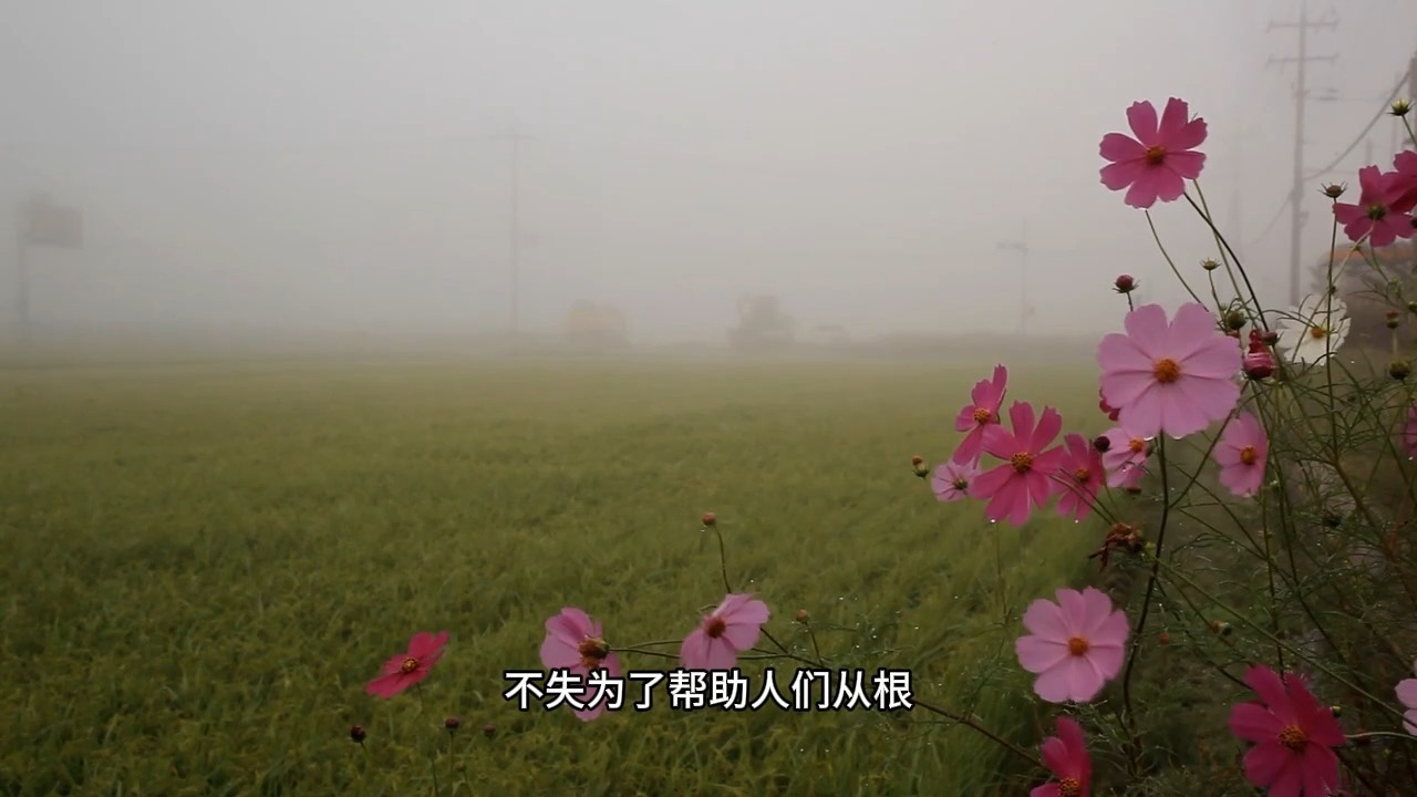 楞严经中的顶级智慧：如何彻底破除迷惑？这样修才是真正的入门！