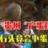 贵州有一处神秘产蛋崖，石头竟会下蛋，这是为何？
