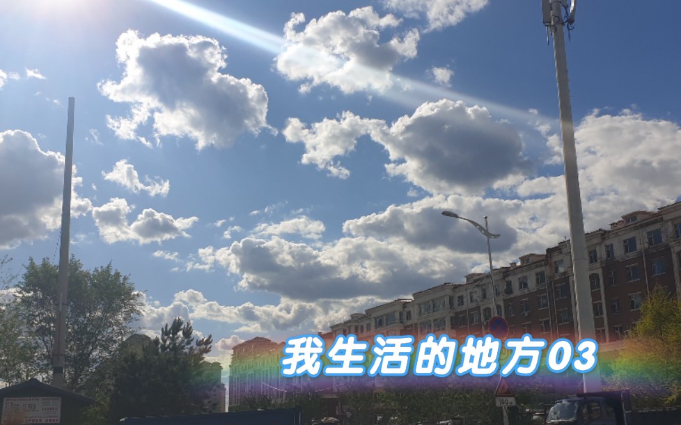我生活的地方03东北人春日必修课