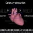 【Alila Medical Media】23.心脏的动脉供血，心脏病发作和血运重建
