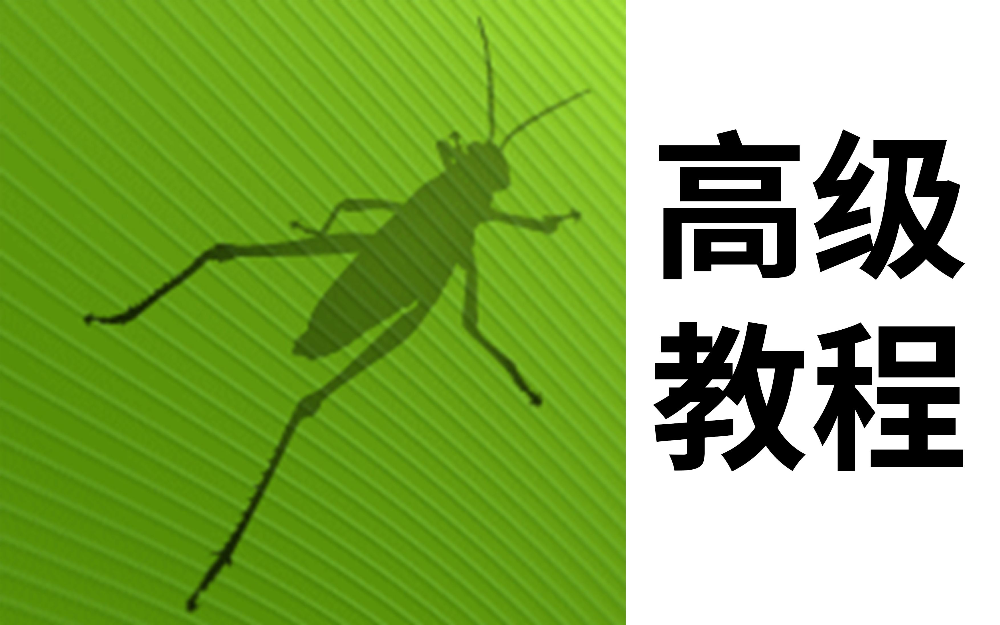 Grasshopper 教学视频高级教程