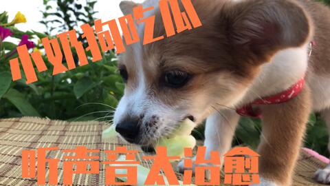 a2e4a93f02b1d95dca12d54d9451c9ddd83a8714.jpg@480w_270h_1c