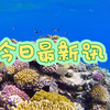 三分钟了解今日热点