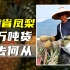 台湾省凤梨在大陆禁售，价格跳崖式雪崩，当地果农赔的有多惨？