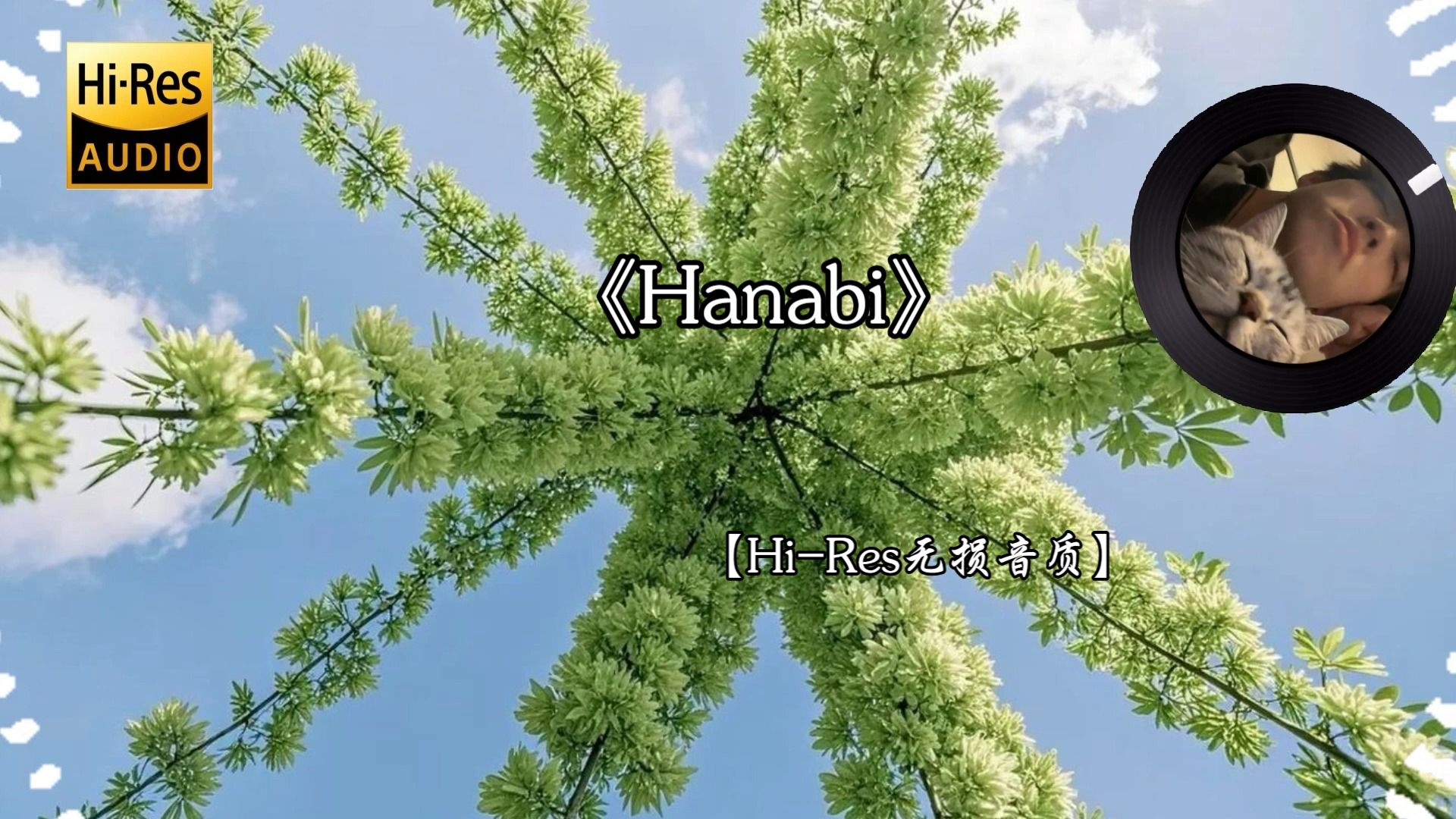 【Hi-Res无损音质】纯音《Hanabi》短暂绚烂的遗憾或烟花般灿烂的告白