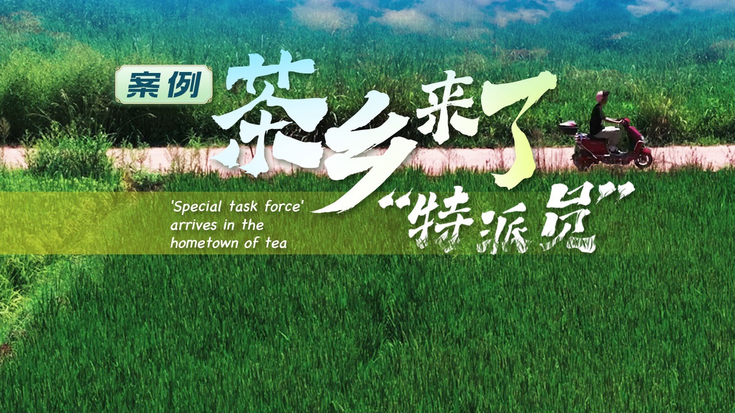 谁说老茶乡只能“靠天吃饭”？90后带着“科技锦囊” 扎根茶山！手工采摘、茶园徒步、剧场出圈…#武夷山你变了 ！#高质量发展故事汇