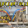 居民被电呼叫电工猴总部抢修电路