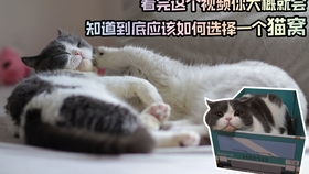a3195c8fea6ee474ce980a9a3f474d159ef75c95.jpg@280w_158h_1c_100q.jpg