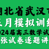 湖北省武汉市五月模拟训练2024届高三数学试卷逐题讲解
